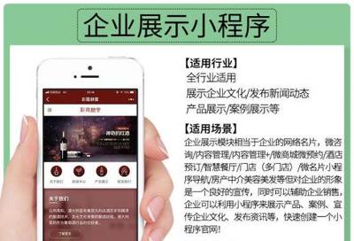 小程序定制開發、微信公眾號、推廣排名、吸粉